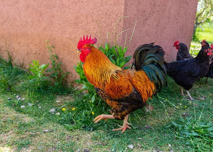 Gorgeous In With Kitchen *